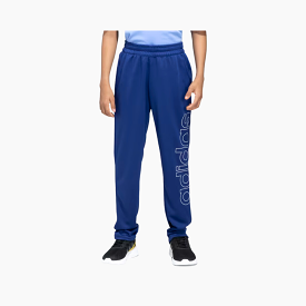 Adidas Boy Lin Graphics Printed Pant (8-16 Year)-Victory Blue