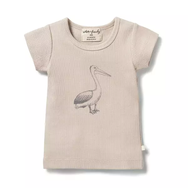 Wilson & Frenchy Organic Rib Tee - Little Pelican